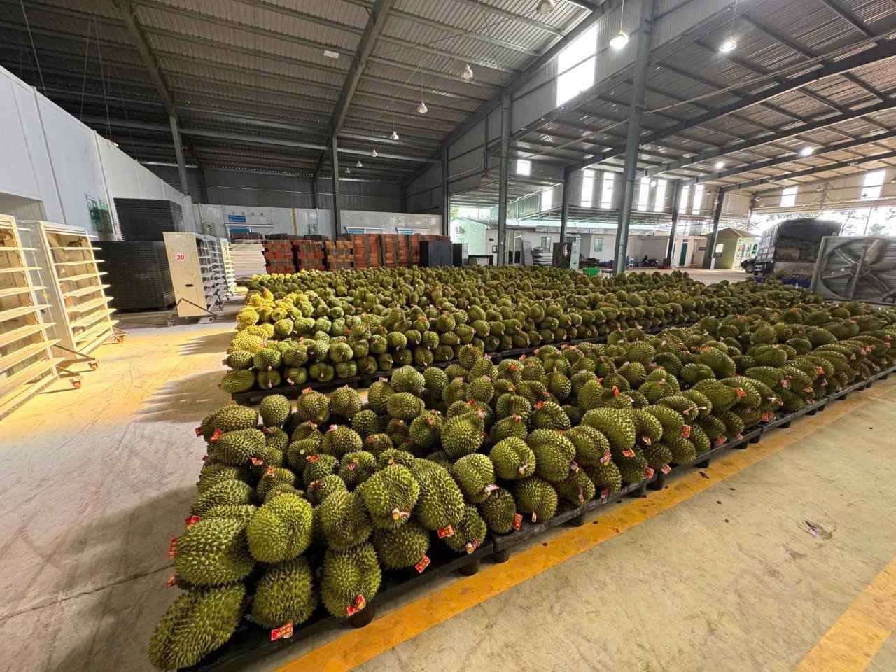 456283921_922382813262081_2642532400663747009_n